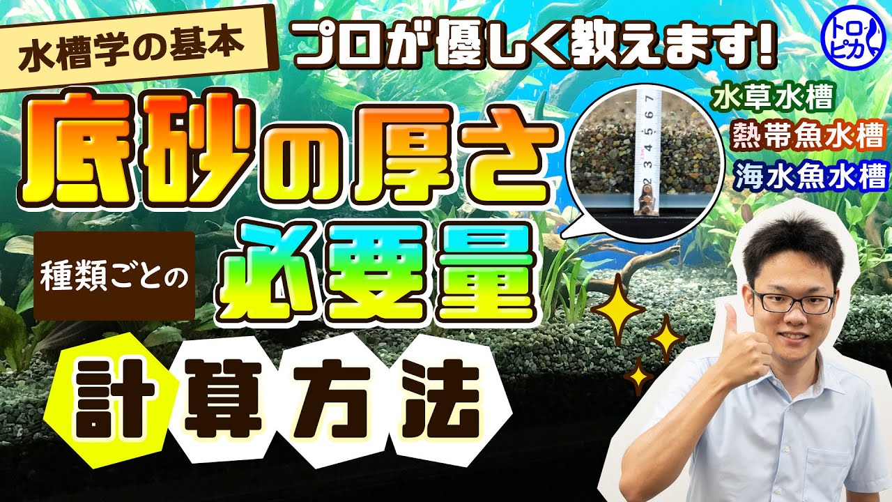 水槽学の基本 水槽に使う底砂の厚さと必要量の計算方法 プロが優しく教えます Youtube