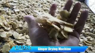 High Capacity Continuous Mesh Belt Ginger Chips Drying Machine Line Ginger Chips Dehydrator