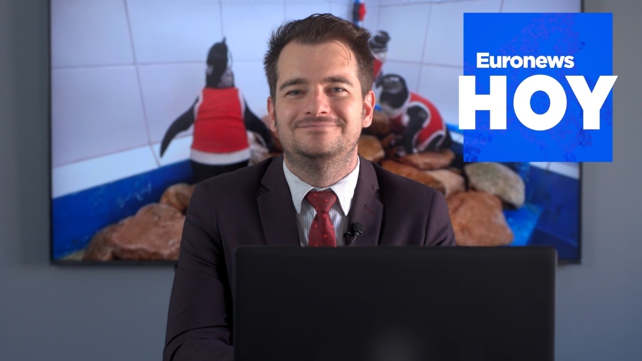 EURONEWS HOY | Las noticias del lunes 7 de septiembre de 2026: La AfD arrasa en Sajonia-Anhalt