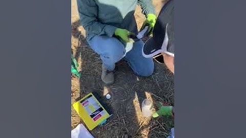 In-Field Soil Nitrate Quick Test Demonstration