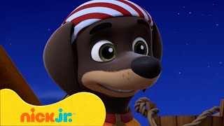 PAW Patrol | Los mejores momentos de la temporada 9 de PAW Patrol  (Parte 3) | Nick Jr. en Español