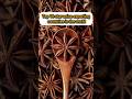 Top 10 star anise exporting countries in the world🌍#top10