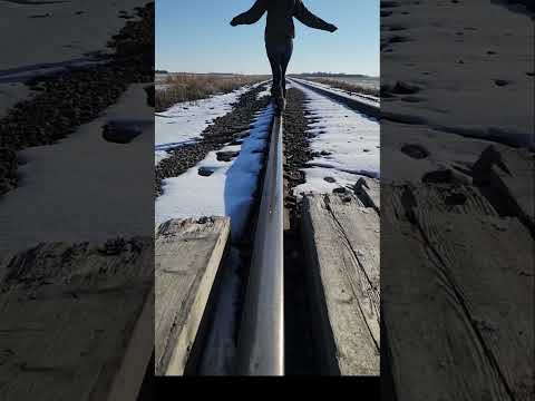 Roxanne on the railroad #railwaycrossing #mukluks #walking