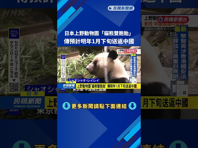 日上野動物園「貓熊雙胞胎」 傳明年1月下旬送返中國－民視新聞