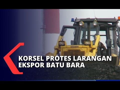 Polemik Larangan Ekspor Batu Bara Indonesia: Jepang dan Korsel Sudah Protes, Siapa Lagi?