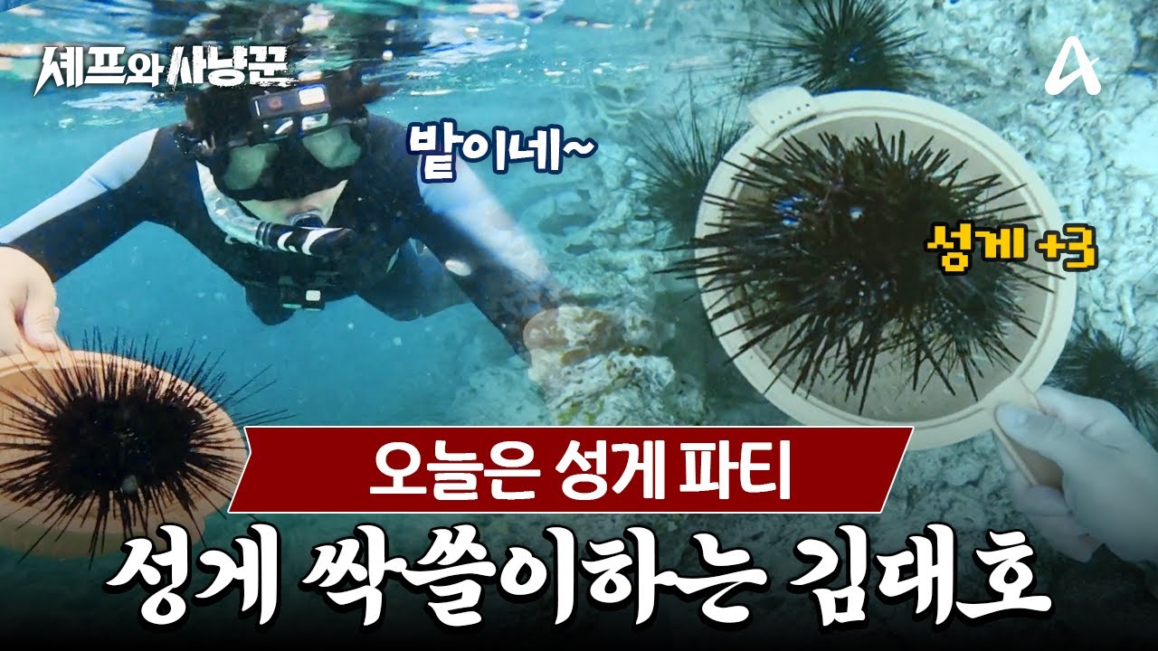 [#셰프와사냥꾼] 바다 속 성게 밭 발견한 사냥꾼들! 황금어장 놓칠 수 없지, 파워물질 ON🔥 | 셰프와 사냥꾼 4회