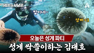 [#셰프와사냥꾼] 바다 속 성게 밭 발견한 사냥꾼들! 황금어장 놓칠 수 없지, 파워물질 ON🔥 | 셰프와 사냥꾼 4회 screenshot 1
