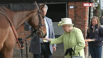 ¿Cuál es el animal favorito de la Reina?