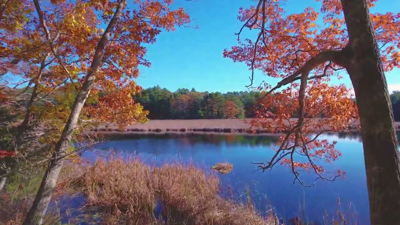 406 Campbells Pond Road - West Bath, ME