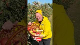 Apple Picking Song – Fall Vibes for Kids 🍎
