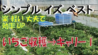 【驚愕】今までの苦労から解放！土耕用収穫台車キャリーⅠ