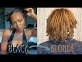 I bleached my locs at home|Black to Blonde(honey blonde)| No box dye