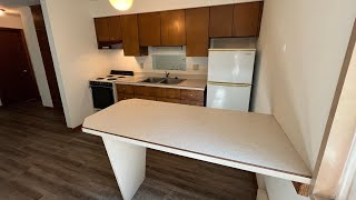 1116 E Mifflin Street - Unit 1 (Video Tour)