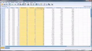 Converting Variables into T Scores in SPSS Converting Variables into T Scores in SPSS