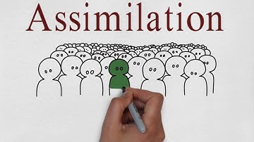 Stages of Social Integration