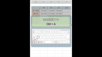 【Excel】表の合計を一瞬でまとめて表示する！ #shorts