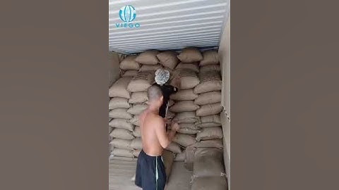 Loading Arabica raw coffee beans to container in 2022 - Viego Global
