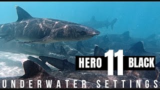 GoPro Hero 11 Black BEST Underwater Settings by Ryuta Ogawa 12,529 views 1 year ago 2 minutes, 39 seconds