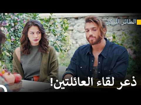 قرار جان غير المتوقع للتعارف! - مسلسل الطائر المبكر