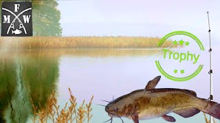 Trophy Brown Bullhead Spot | Amazing XP | Wabakimi Lake | My Fishing World screenshot 5