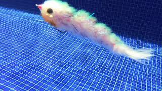 Gamechanger Fly swimming under water