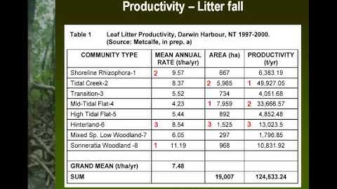 Mangroves of Darwin Harbour