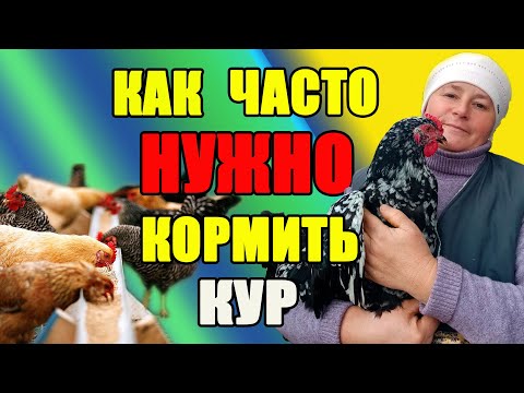 Как ЧАСТО необходимо