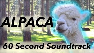 KASHKA - Alpaca [Instrumental]