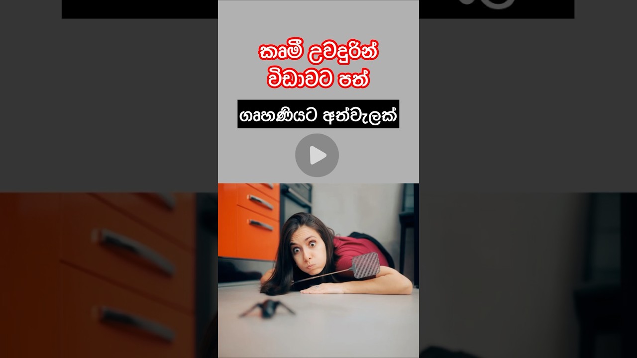 ගෘහණියට අත්වැලක්✨🌹 