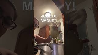 Como hacer el jugo de maguey ! 