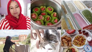 kafasını araba ezmiş iyiki ölmemiş😞 alış veriş Medine kahvaltı hazırladı dolma doldurdum taze