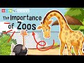 Understanding Zoo Functions and Responsibilities