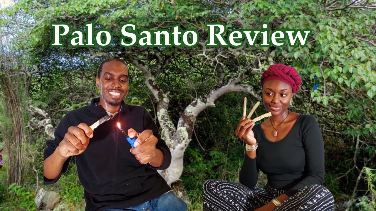 Palo Santo Review First Time Lighting Palo Santo Stick YouTube