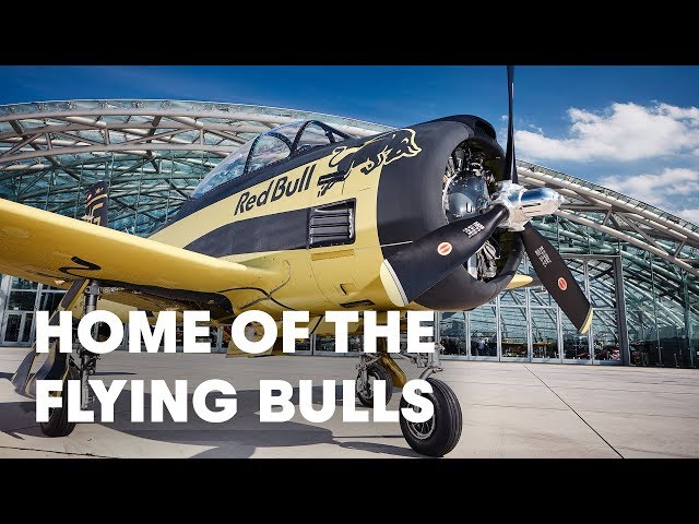 Flying Bullfly Red Bull Flying Bulls
