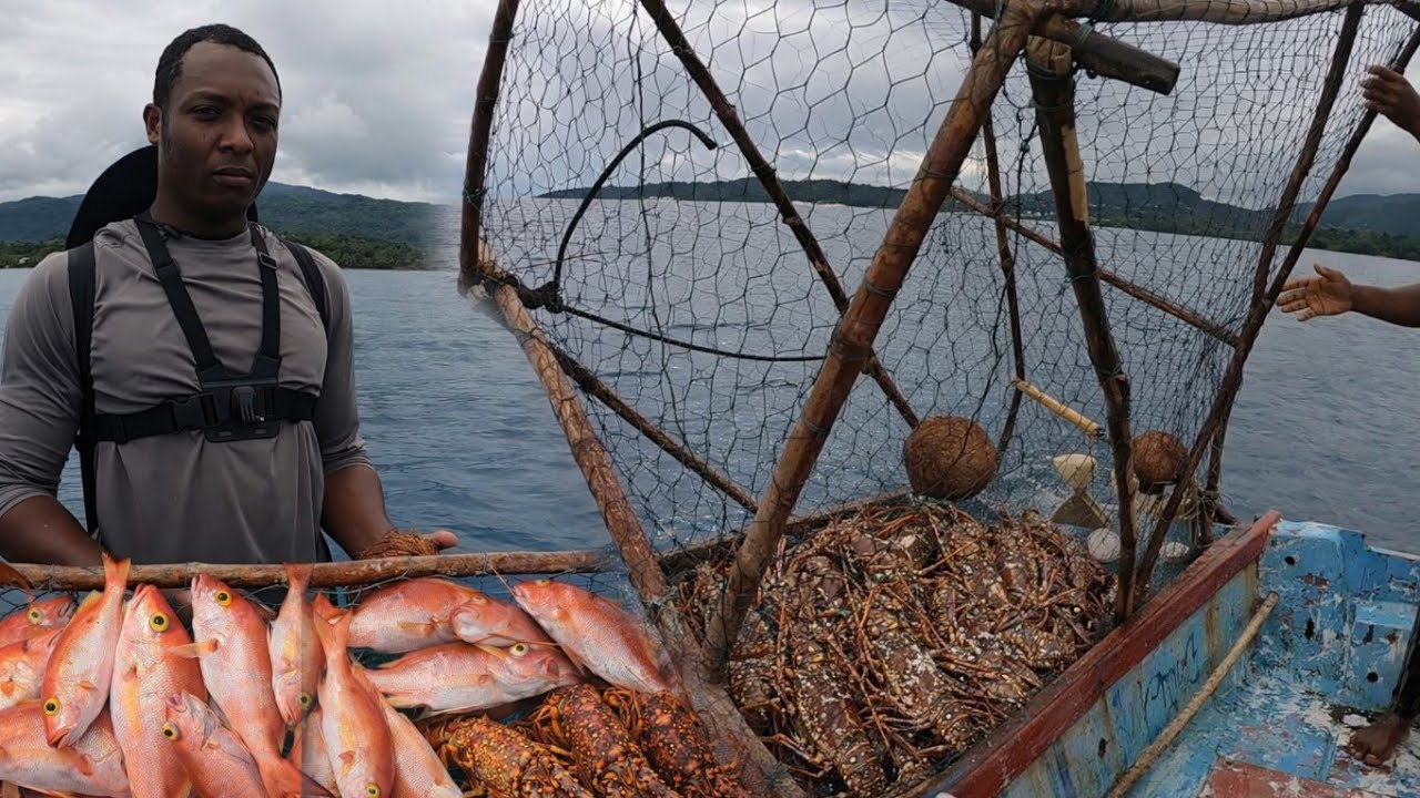 “Jamaican Fishermen Hit a Monster Catch, You Won’t Believe What Was Inside This Trap 😱🦞”
