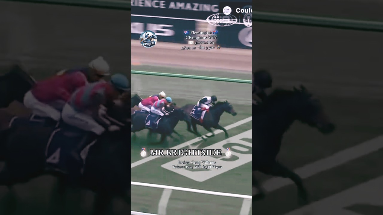 MR BRIGHTSIDE — 🌟звезда🌟 в забеге Group 1 Champions Mile✨😎🏆