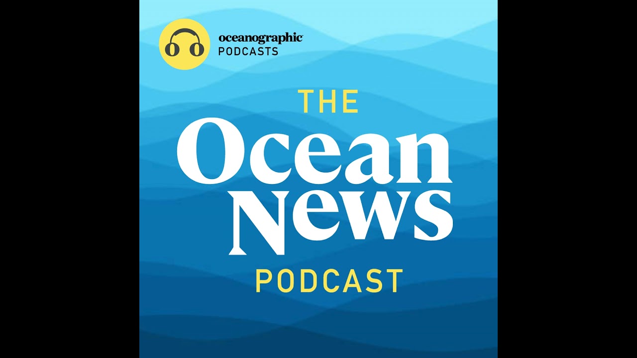 The Mining Dilemma: Investigating the Mystery of "Dark Oxygen" - The Ocean News Podcast