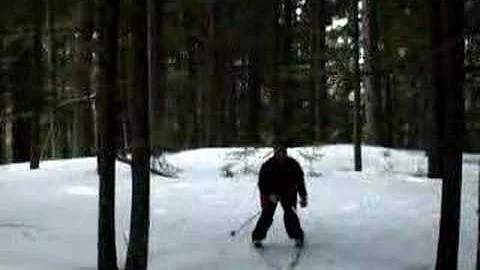 donald wheaton wiping out