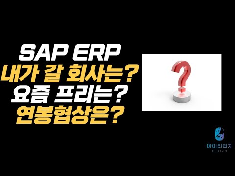 SAP ERP 내가 갈 수 있는 회사는 어디 프리는 요즘 어떨까 연봉협상은 어떻게 