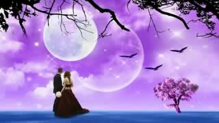 ▶ Poraner Pakhi S I Tutul 2012 Official Bangla Video Song HD 720p By Babu YouTube 360p
