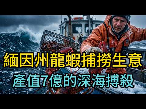 零下的深海肉搏：每一口「紅色黃金」都是拿命換！直擊緬因龍蝦捕撈真相，為什麼頂級龍蝦無法人工養殖？揭開北美最危險的7億美元合法生意！#世界軼事#緬因龍蝦#龍蝦捕撈#紅色黃金#北美海鮮#極限職業#深海捕撈