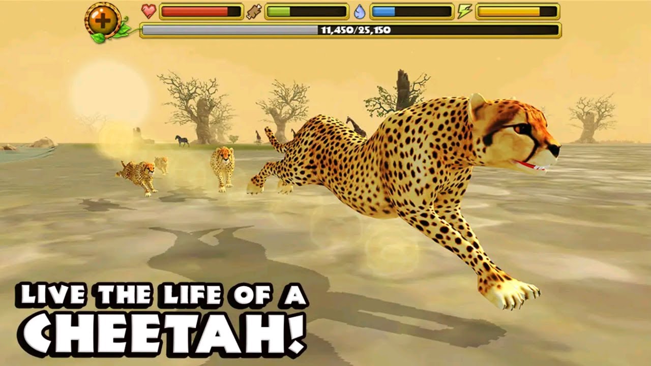Cheetah Simulator (By Gluten Free Games LLC) Android Gameplay