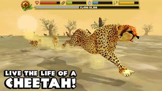 Cheetah Simulator (By Gluten Free Games LLC) Android Gameplay screenshot 1