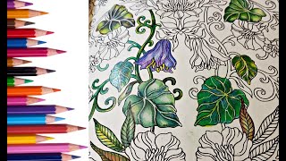 Coloring Tips And Tricks For Creating Eye Catching Leaves