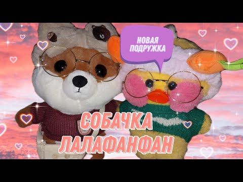 Уточка из ТТ ЛаЛаФанФан НОВАЯ КОЛЛЕКЦИЯ ИГРУШЕК СОБАКА СИБА ИНУ ШИБА ИНУ