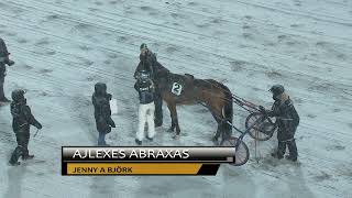 Vidéo de la course PMU PRIX ANDERSSONS HASTSPORTS LARLINGSSERIE - OMGANG 1