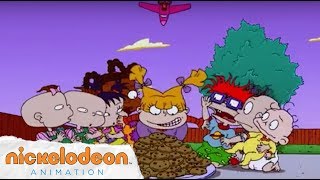 Rugrats Theme Song Season 8 Nick Animation