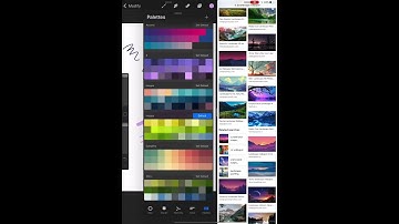 How to Create a Palette with an online image on Procreate