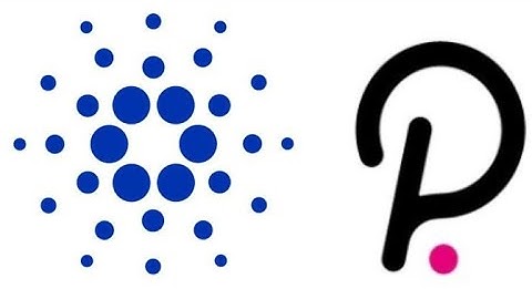 POLKADOT OR CARDANO PREVIEW