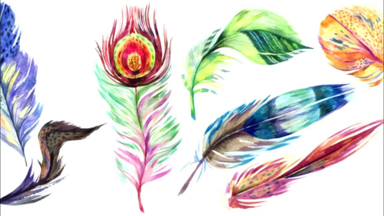 формы перьев птиц. что символизирует перо птицы. амулеты с птичьими перьями. перо символ чего. индейские перья обозначения.